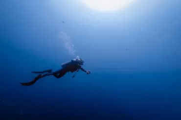 diver